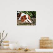 Ruhen Poster (Küche)