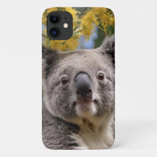"Ruhend in Gold: Ein Koala in einem Wattle-Baum" Case-Mate iPhone Hülle