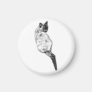 Ruhende Katze, Stiller Raum Magnet