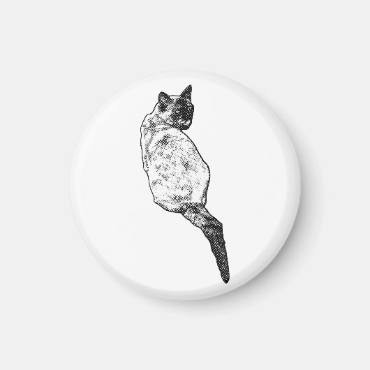 Ruhende Katze, Stiller Raum Magnet (Vorne)