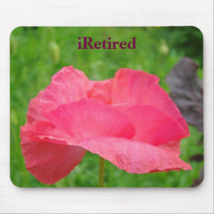Ruhende Mousepad Pink Poppy Blume Wiese