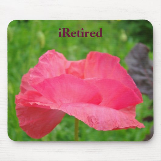 Ruhende Mousepad Pink Poppy Blume Wiese (Vorne)