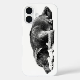 Ruhende Pitbull Mix Ruhe Blick Handy Fall iPhone 16 Hülle