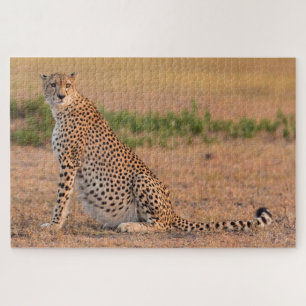 ruhender Gepard am frühen Morgen Puzzle