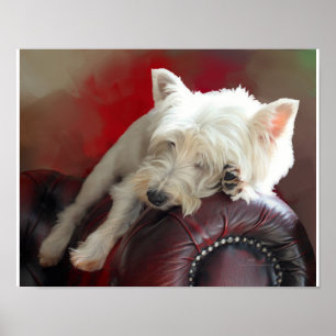 Ruhender Westie Poster
