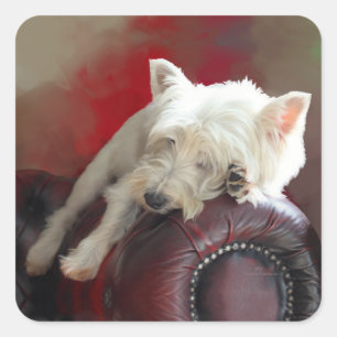 Ruhender Westie Quadratischer Aufkleber