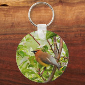 Ruhender Zedar Waxwing Schlüsselanhänger (Vorderseite)