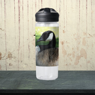 Ruhendes Kanadagans-Wildtierfoto Trinkflasche