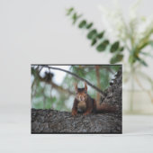 Ruhendes Rothörnchen Postkarte (Stehend Vorderseite)