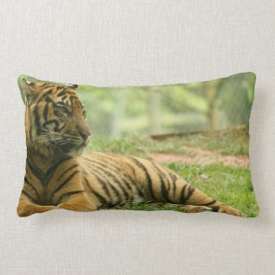 Ruhendes Tigerkissen Lendenkissen