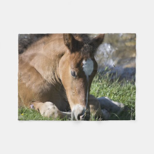 Ruhendes Wildpony Fleecedecke (Vorderseite (Horizontal))