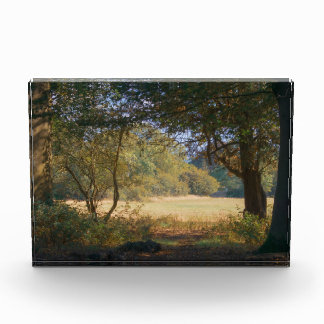 Ruhepause Fotoblock