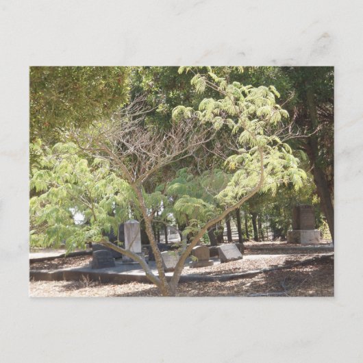 Ruheplatz Postkarte (Vorderseite)