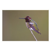 Ruhestand Fotodruck (Vorne)