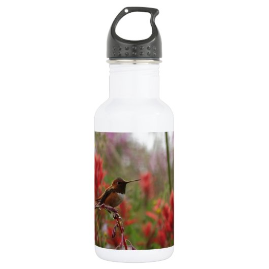 Ruhestand Hummingbird Edelstahlflasche (Vorderseite)