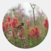 Ruhestand Hummingbird Runder Aufkleber (Vorderseite)