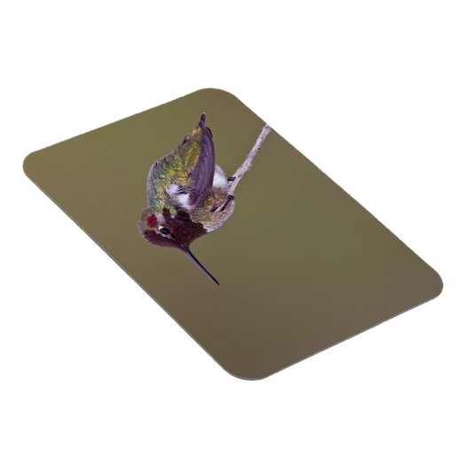 Ruhestand Magnet (Rechte Seite)