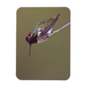 Ruhestand Magnet (Vertikal)