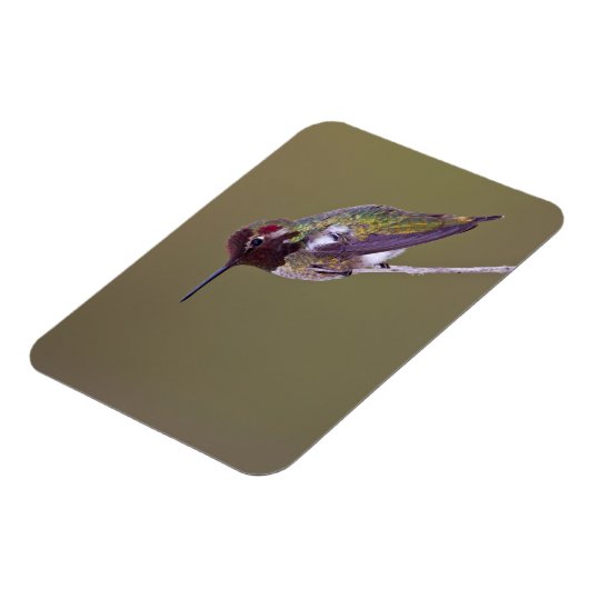 Ruhestand Magnet (Linke Seite)