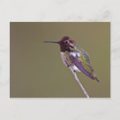 Ruhestand Postkarte (Vorderseite)