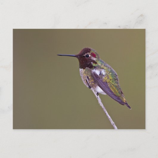 Ruhestand Postkarte (Vorderseite)