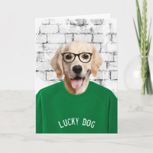 Ruheständler Golden Retriever in grünem T-Shirt Ka Karte