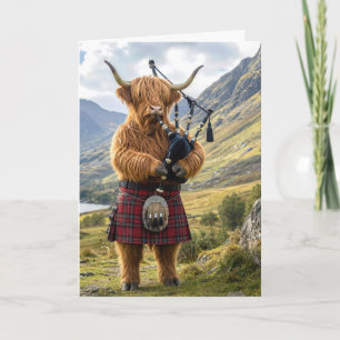 Ruheständler Highland-Rind spielt Dudelsack Karte