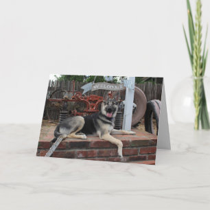 Ruhestands-Glückshund-Deutscher-Schaeferhund-Karte Karte