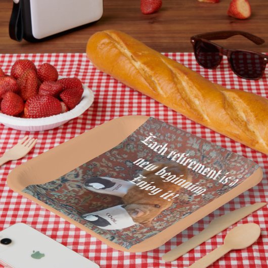 Ruhestandsparty Serviette Ingwerkatze schlafendes  Pappteller (Picknick)