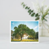 Ruhezeit mit einem großen Baum – Postkarte (Stehend Vorderseite)