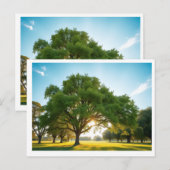 Ruhezeit mit einem großen Baum – Postkarte (Vorne/Hinten)