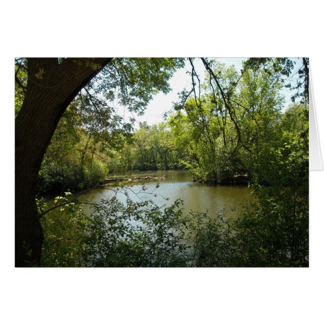 ruhig (Vorderseite (Horizontal))