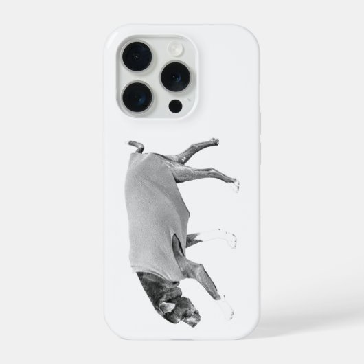 Ruhig Bleiben iPhone Hülle (Rückseite)