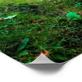 Ruhig fließt der Fluss Poster (Ecke)