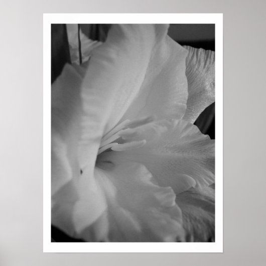 ruhig poster (Vorne)