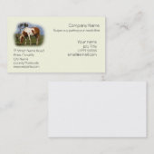 Ruhig weiden lassendes Piebald-Pony Visitenkarte (Vorne/Hinten)