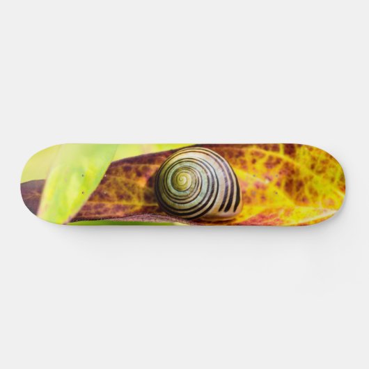 Ruhige Anschlusskateboard Skateboard (Horizontal)