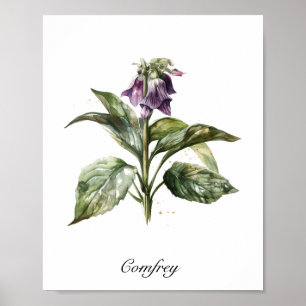 Ruhige Aquarell-Comfrey, individuell Poster