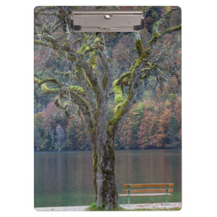 Ruhige Bank an einem See, Deutschland Klemmbrett