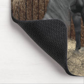 Ruhige Begleiter Pferd und Katze Mousepad (Ecke)