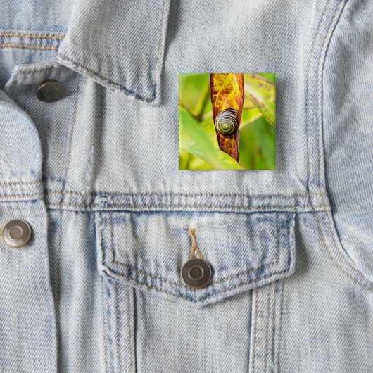 ruhige Bindung Button (Beispiel)