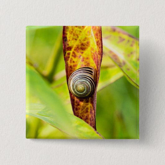 ruhige Bindung Button (Vorderseite)