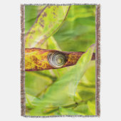 ruhige Bindung Decke (Vorderseite Vertikal)