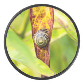 ruhige Bindung Eishockey Puck (Vorderseite)