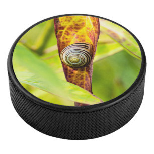 ruhige Bindung Eishockey Puck