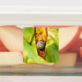 ruhige Bindung Etiketten (Befestigt)