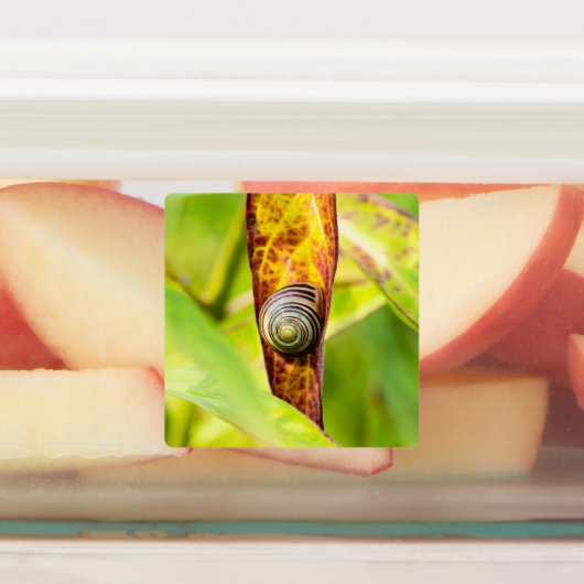 ruhige Bindung Etiketten (Befestigt)