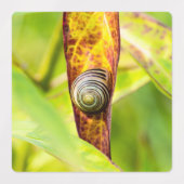 ruhige Bindung Etiketten (Design 1)