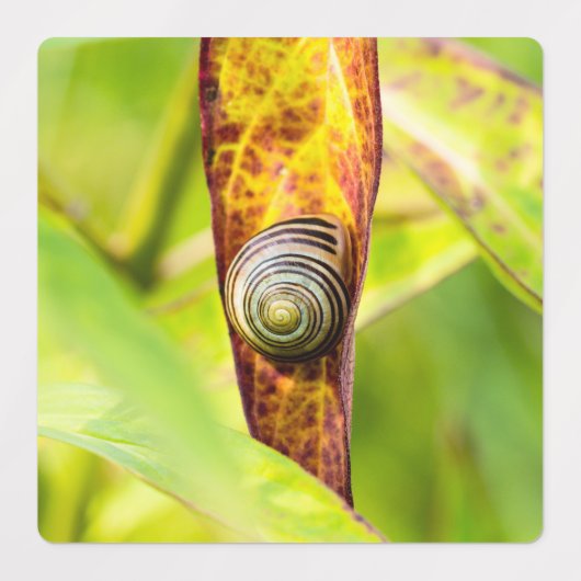 ruhige Bindung Etiketten (Design 1)