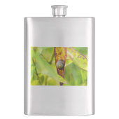 ruhige Bindung Flachmann (Vorderseite)